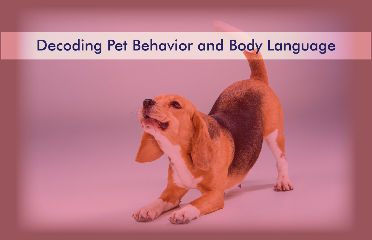 Cultural travel experience