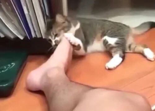 So why does this happen