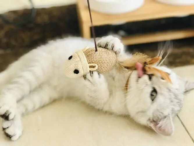 How to stop this behavior